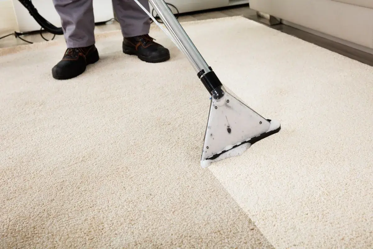 Person cleaning a cream-colored carpet with a vacuum cleaner, leaving a clean path.